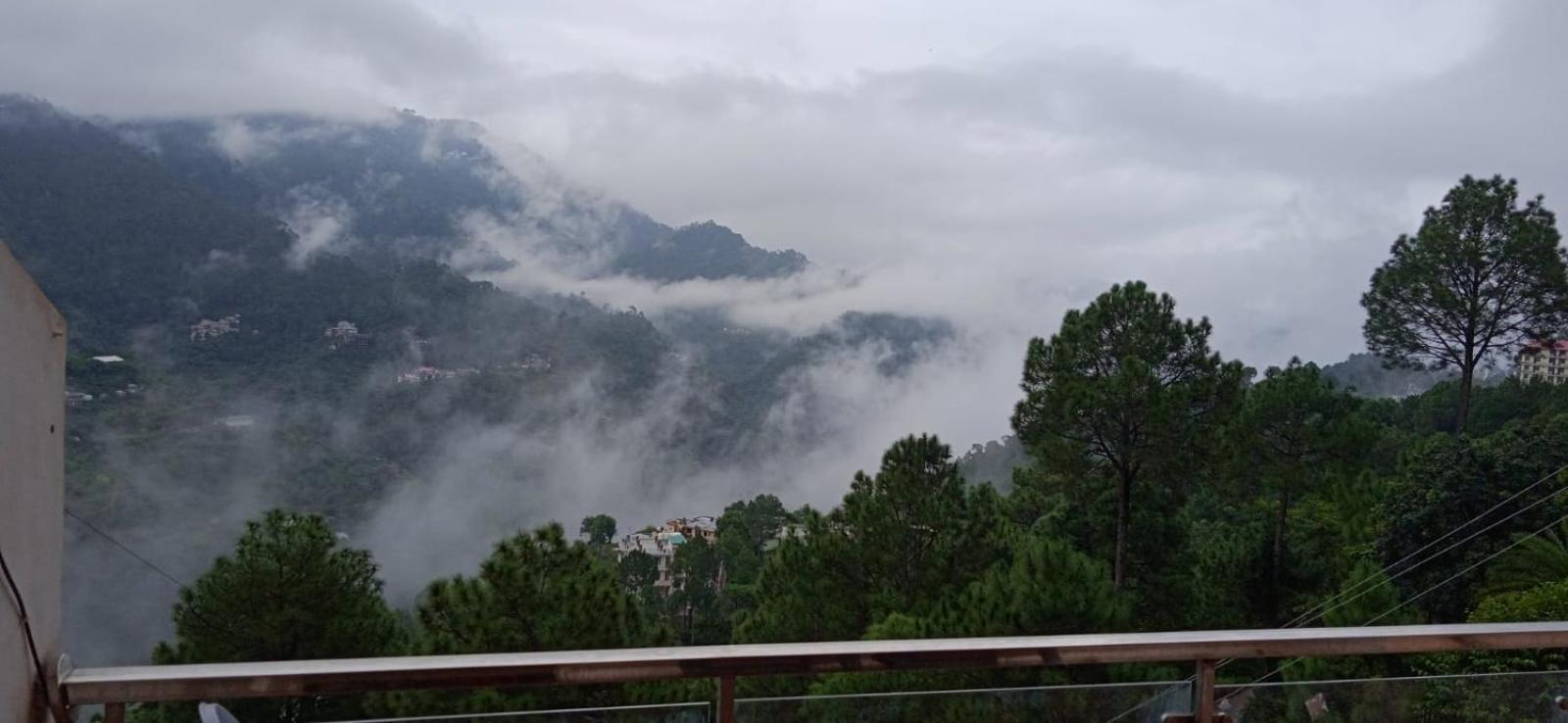 Mystic Forest View Kasauli I Serviced Villa I Best Seller I Vacations I Family Events I Open Air Lawn I Sky Bonfire I Kasauli By Exotic Stays Exterior foto
