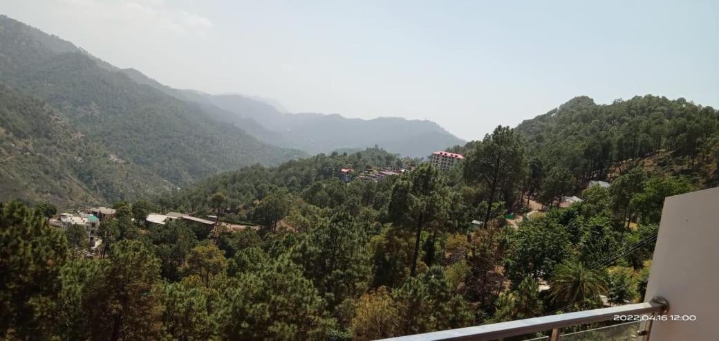 Mystic Forest View Kasauli I Serviced Villa I Best Seller I Vacations I Family Events I Open Air Lawn I Sky Bonfire I Kasauli By Exotic Stays Exterior foto