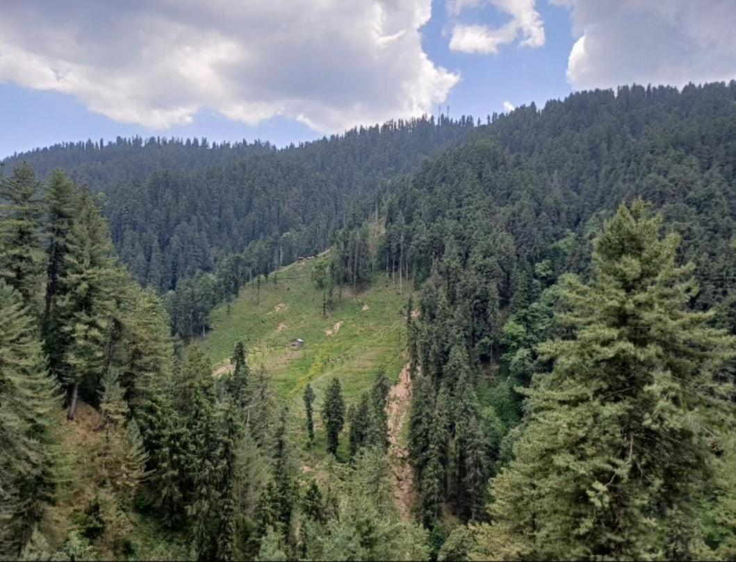 Mystic Forest View Kasauli I Serviced Villa I Best Seller I Vacations I Family Events I Open Air Lawn I Sky Bonfire I Kasauli By Exotic Stays Exterior foto