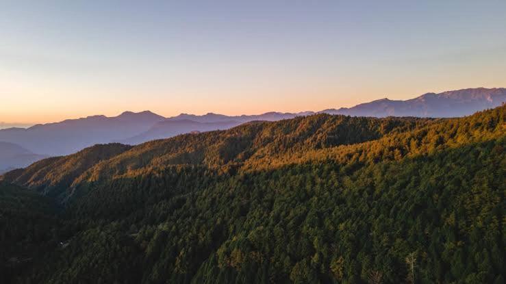 Mystic Forest View Kasauli I Serviced Villa I Best Seller I Vacations I Family Events I Open Air Lawn I Sky Bonfire I Kasauli By Exotic Stays Exterior foto