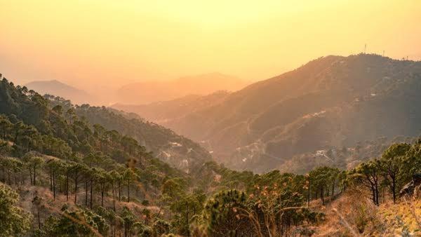 Mystic Forest View Kasauli I Serviced Villa I Best Seller I Vacations I Family Events I Open Air Lawn I Sky Bonfire I Kasauli By Exotic Stays Exterior foto
