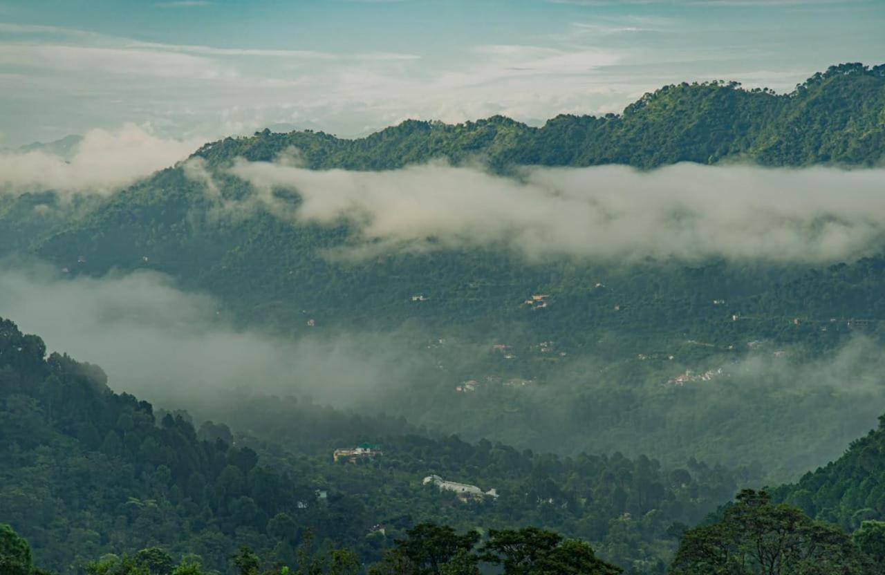 Mystic Forest View Kasauli I Serviced Villa I Best Seller I Vacations I Family Events I Open Air Lawn I Sky Bonfire I Kasauli By Exotic Stays Exterior foto
